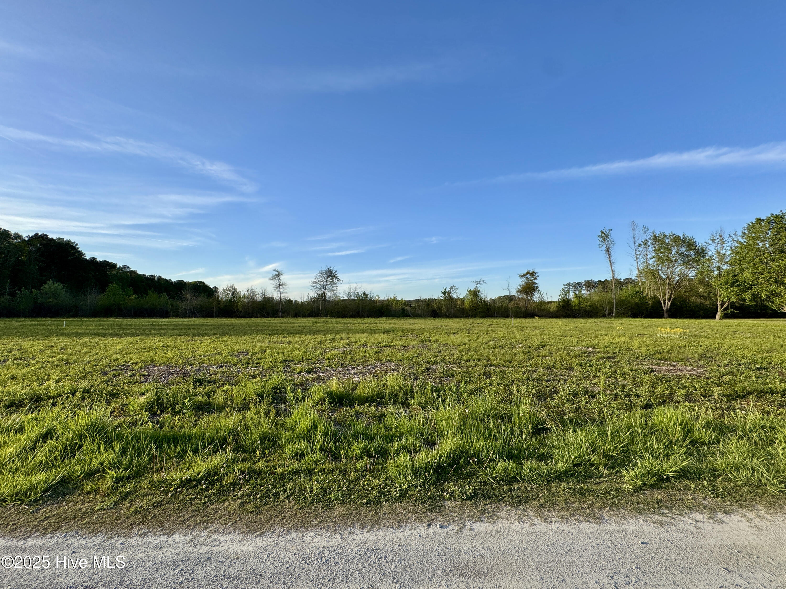 206 Meadowbrook Lane Washington, NC 27889 - Photo 4 of 14 8C6E3F82-A0B1-488E-9DAE-8FFD6FCC13F3_1_2