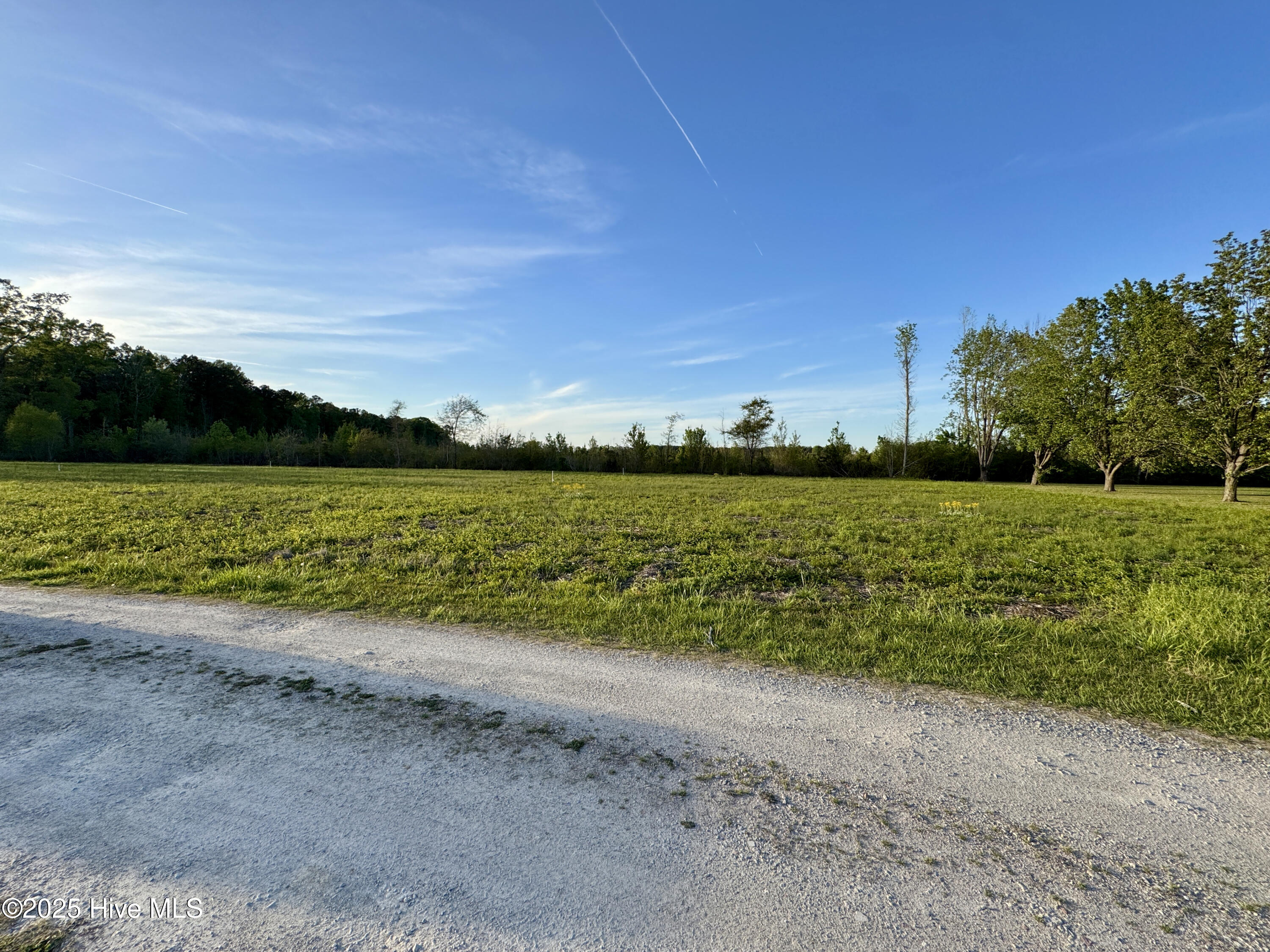 206 Meadowbrook Lane Washington, NC 27889 - Photo 9 of 14 010A3A85-70BE-47A1-82D6-5AC8C3681044_1_2