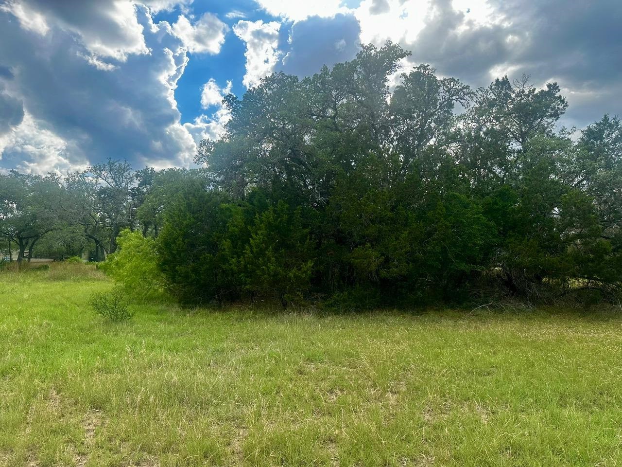 712 Coventry Road Spicewood, TX 78669 - Photo 14 of 21 a view of a green yard
