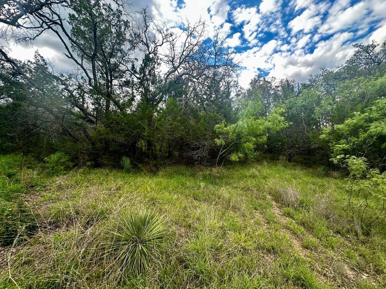 712 Coventry Road Spicewood, TX 78669 - Photo 16 of 21 a view of outdoor space and garden