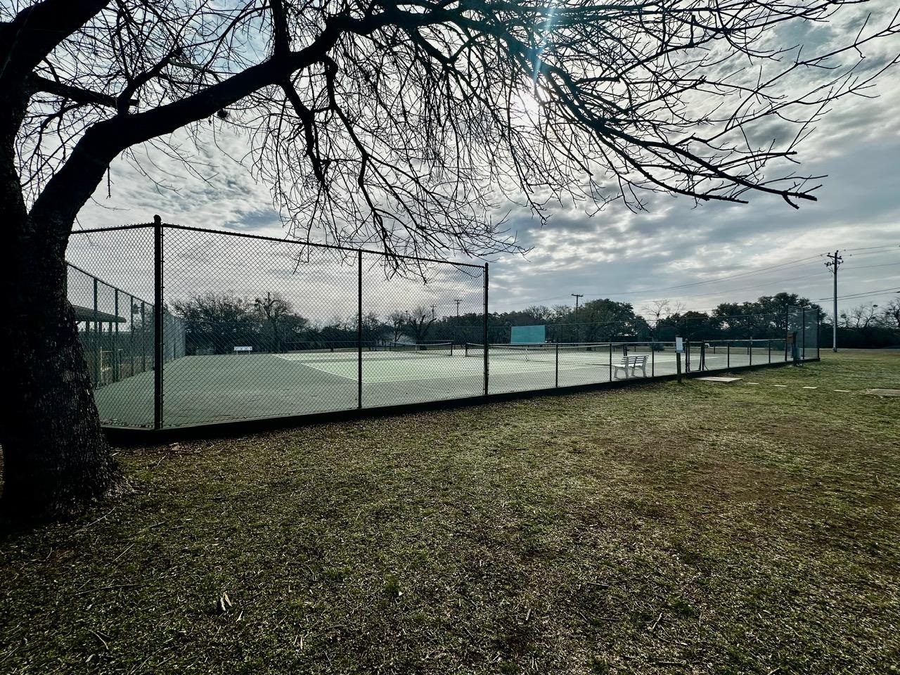 712 Coventry Road Spicewood, TX 78669 - Photo 7 of 21 a view of a yard with a tree