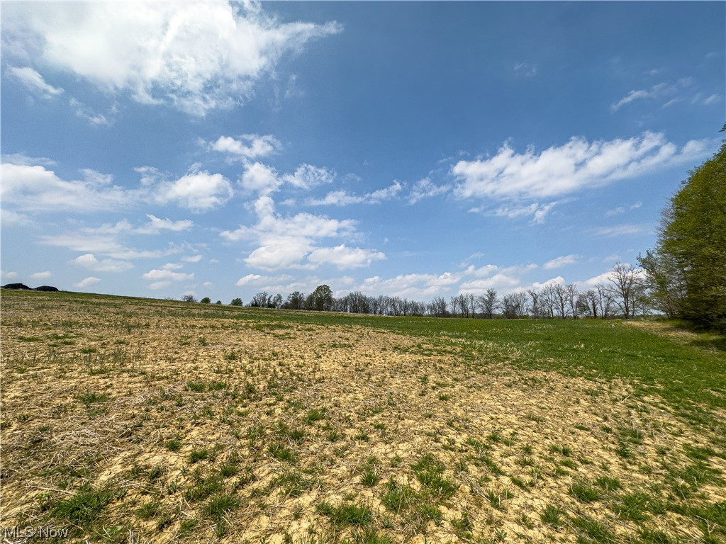 0 Workman Road Roseville, OH 43777 - Photo 5 of 8