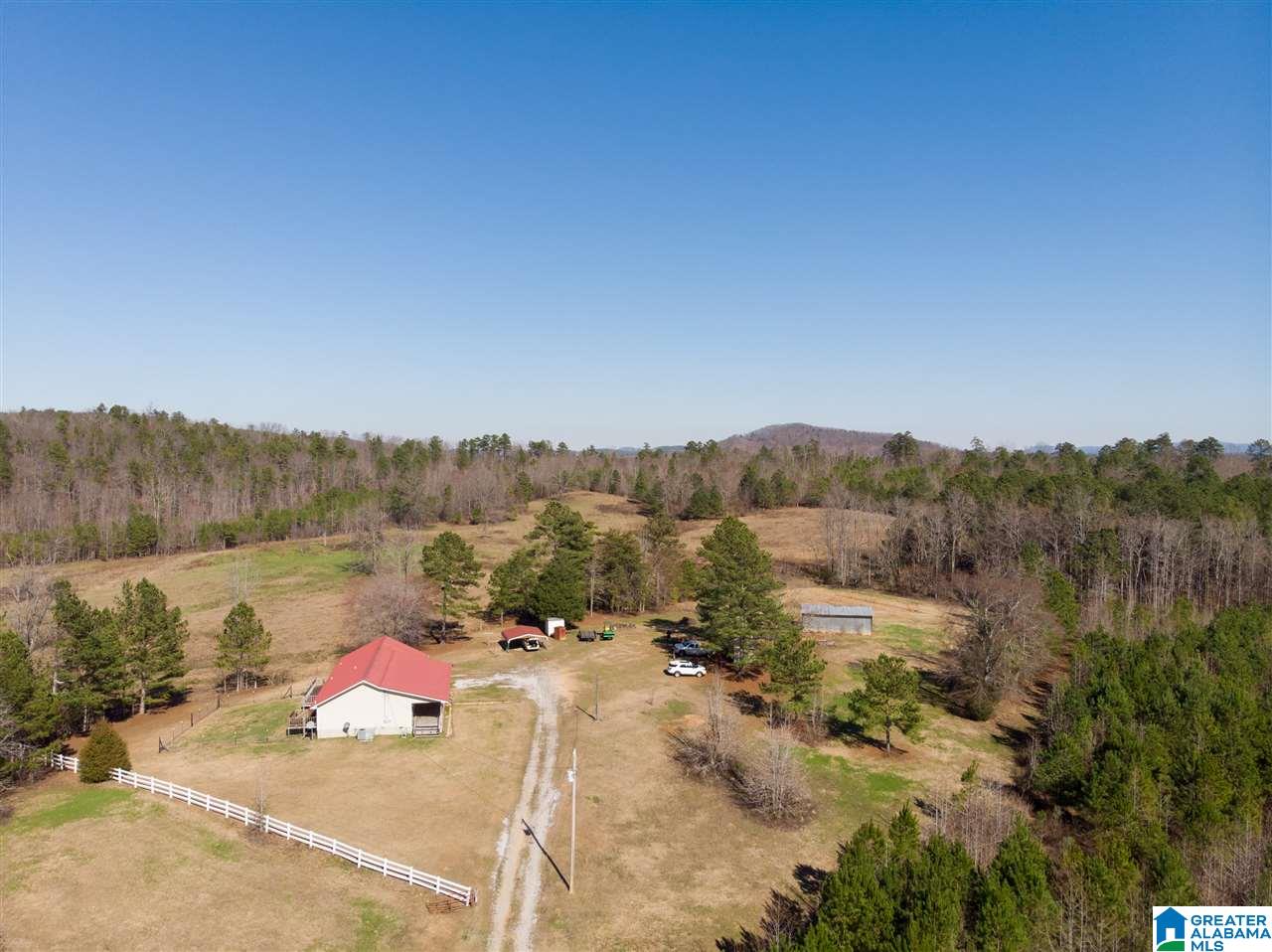 1430 Dripping Rock Road Piedmont, AL 36272 - Photo 14 of 41