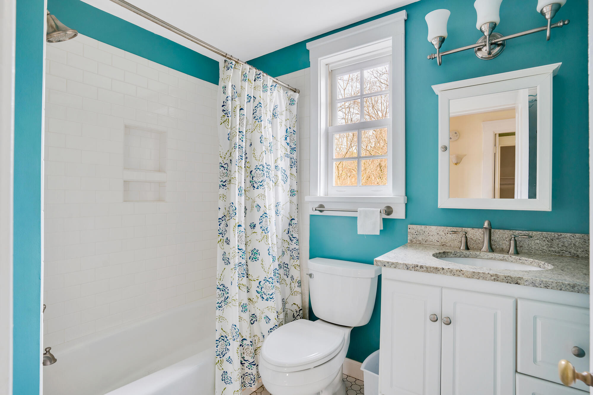 205 Hardy Road Lookout Mountain, GA 30750 - Photo 35 of 47 Full Bathroom