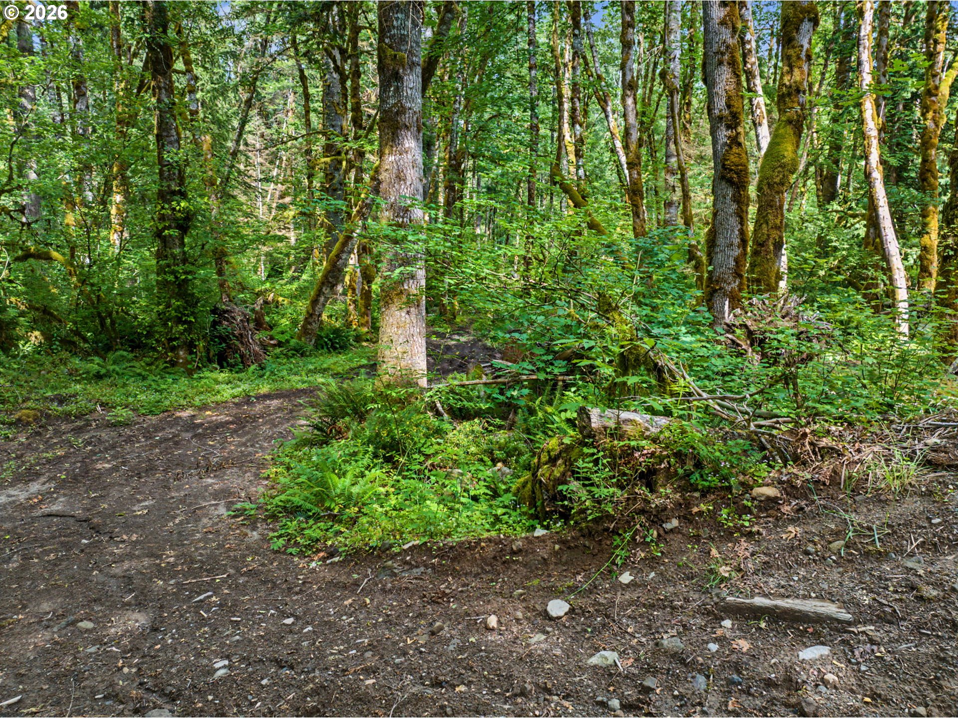 64601 East Brightwood Loop Road Brightwood, OR 97011 - Photo 42 of 48