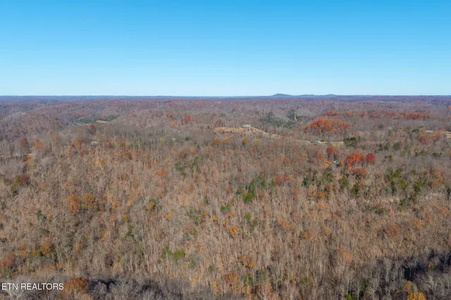 a view of a dry yard