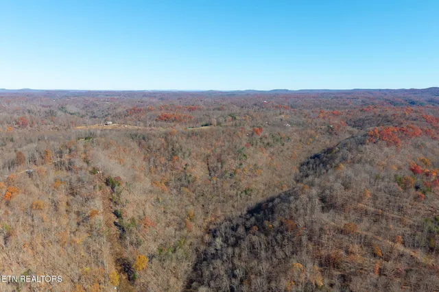 a view of a dry yard with green space
