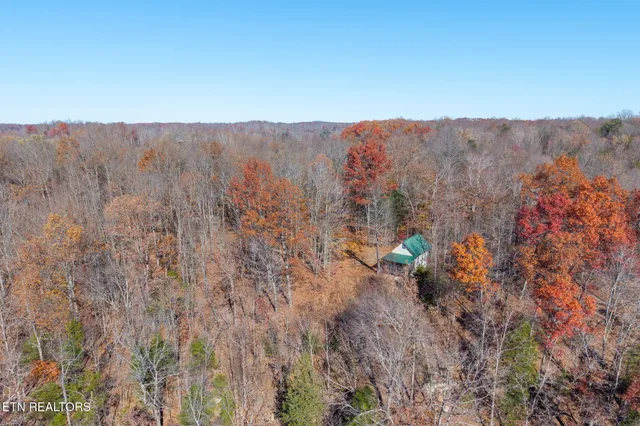 a view of a city with lush green forest