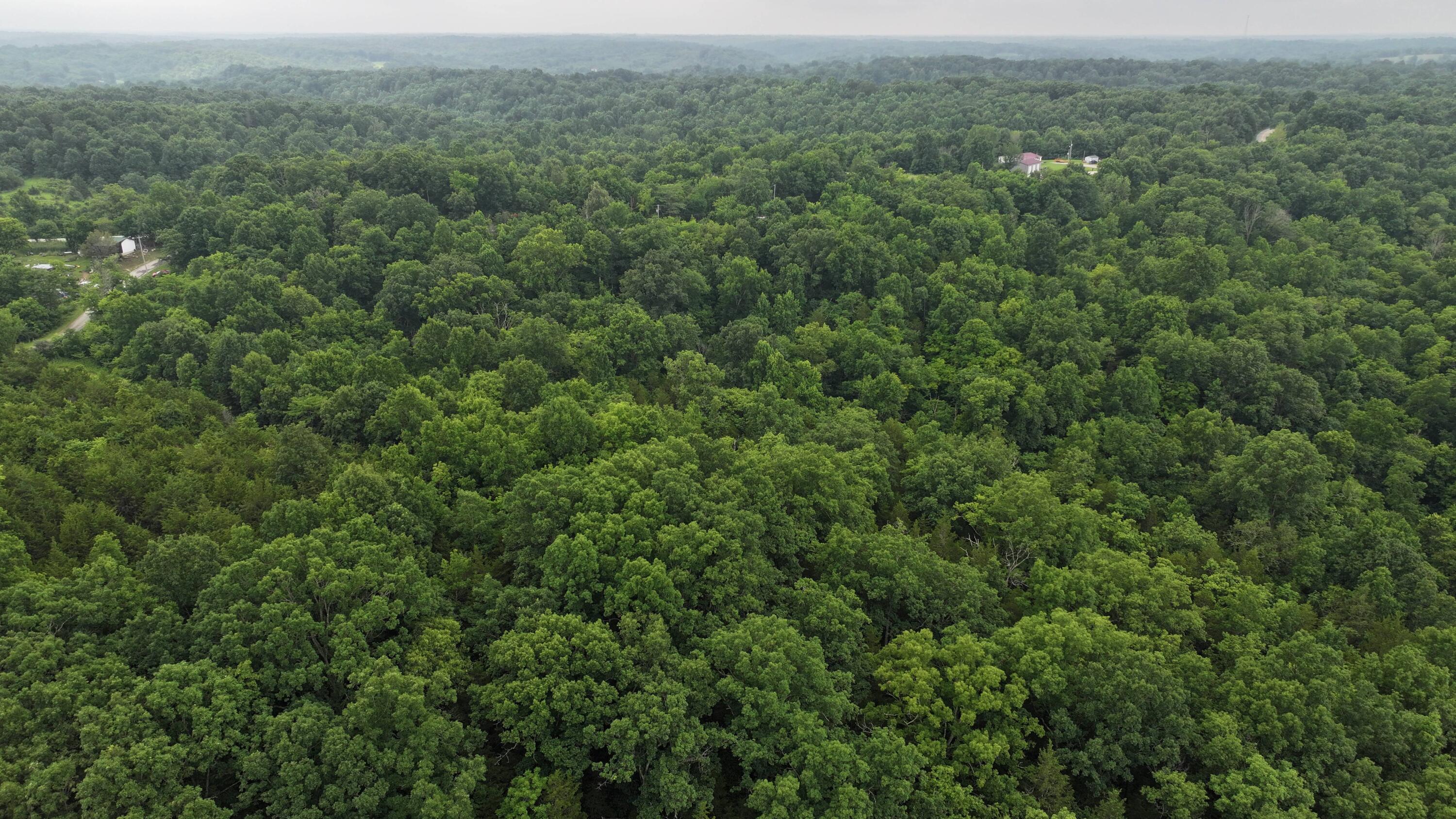 10792 New Columbus Road Owenton, KY 40359 - Photo 18 of 22 DJI_20260709104504_0035_D