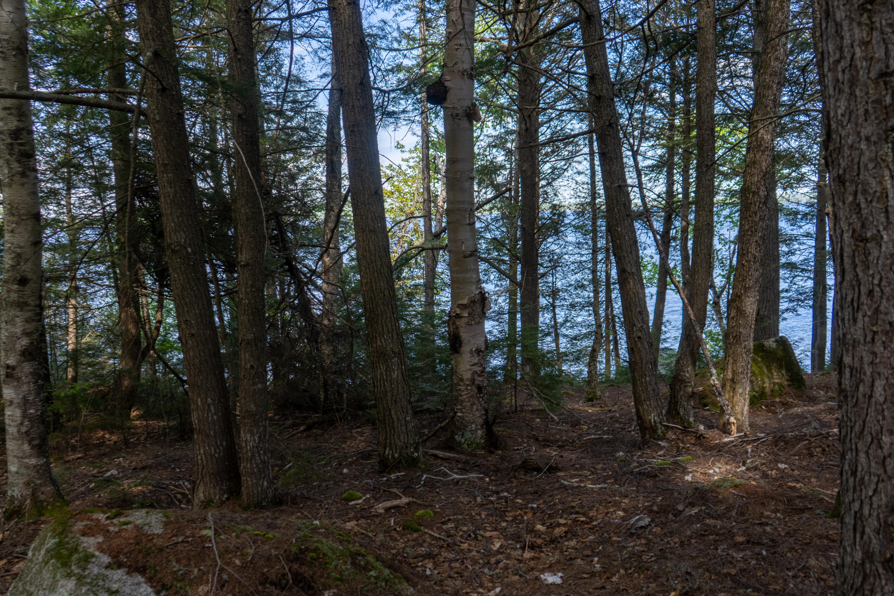 Lot 16 Boulder Road Danforth, ME 04424 - Photo 3 of 15 DSC05947-HDR