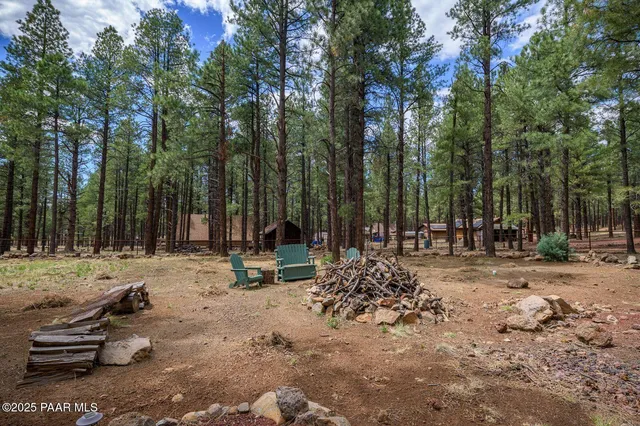 an aerial view of a house with a yard and a large tree