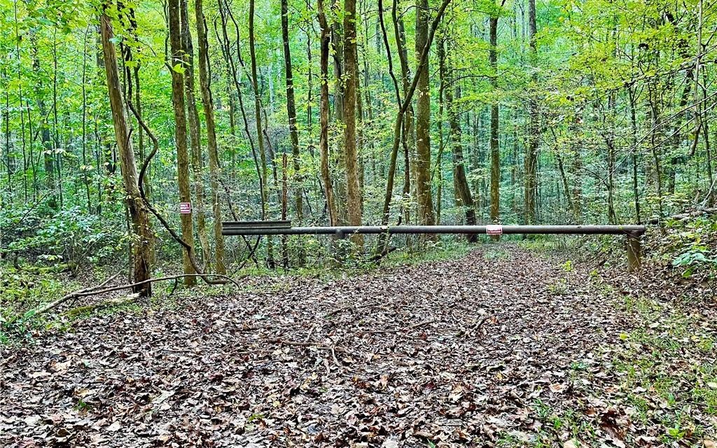 0 Sherman Forrester Road Talking Rock, GA 30175 - Photo 2 of 9 Additional View