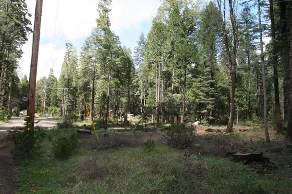 $18,000 | Lot 22 Eastwood Way, Shingletown, CA 96088