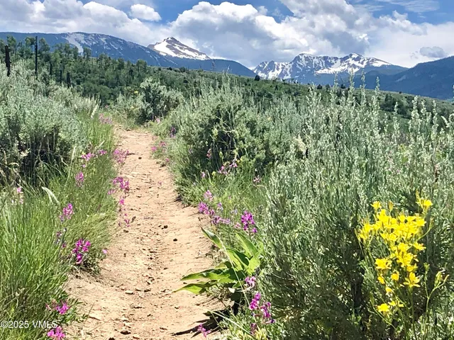 $5,800 | 50 Andover Trail, Edwards, CO 81632