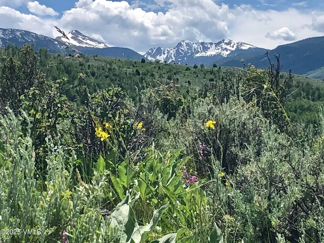 $5,800 | 50 Andover Trail, Edwards, CO 81632