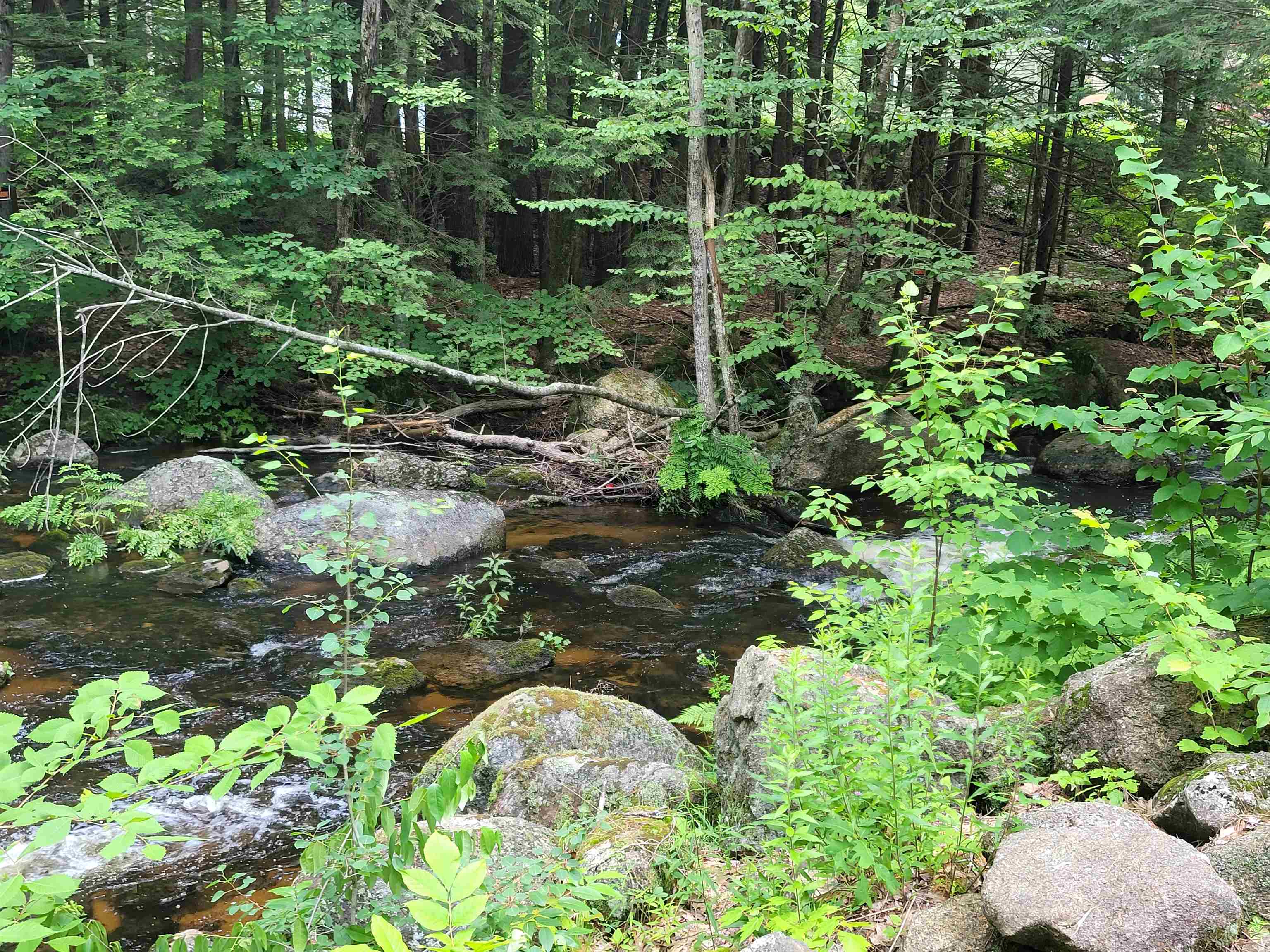 21 Ellen Brook Road Hillsborough, NH 03244 - Photo 15 of 24 Gallery Image 15