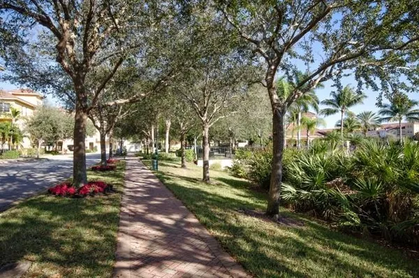 a park with large trees