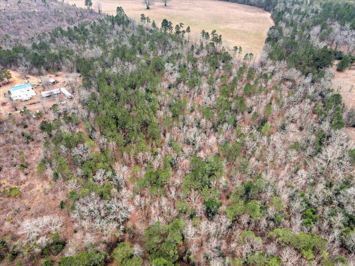 Tr-5 West Wilderness Road Williston, SC 29853 - Photo 8 of 14