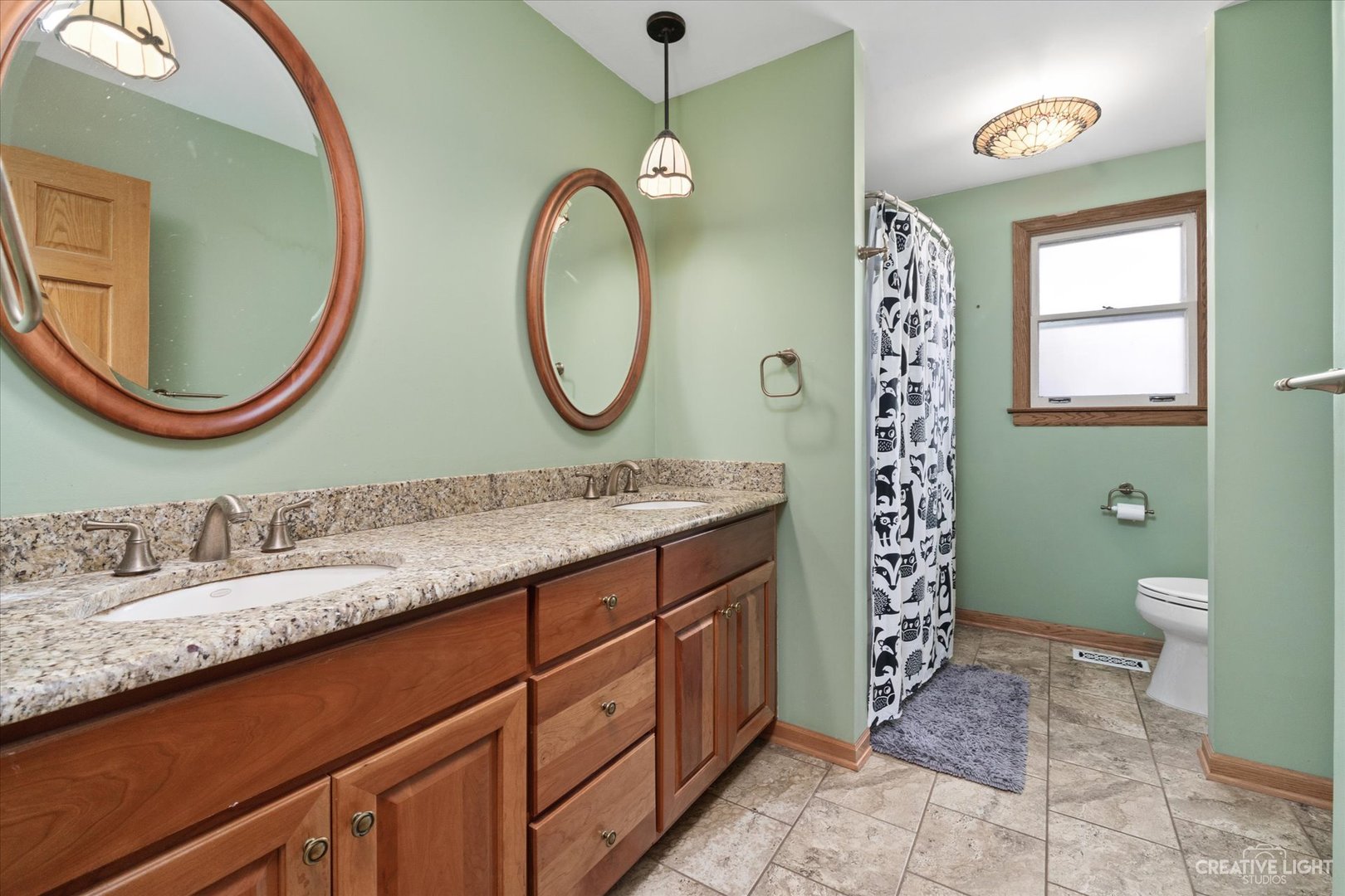 1925 Briarcliffe Boulevard Wheaton, IL 60189 - Photo 11 of 21 a bathroom with a granite countertop toilet a sink and a mirror