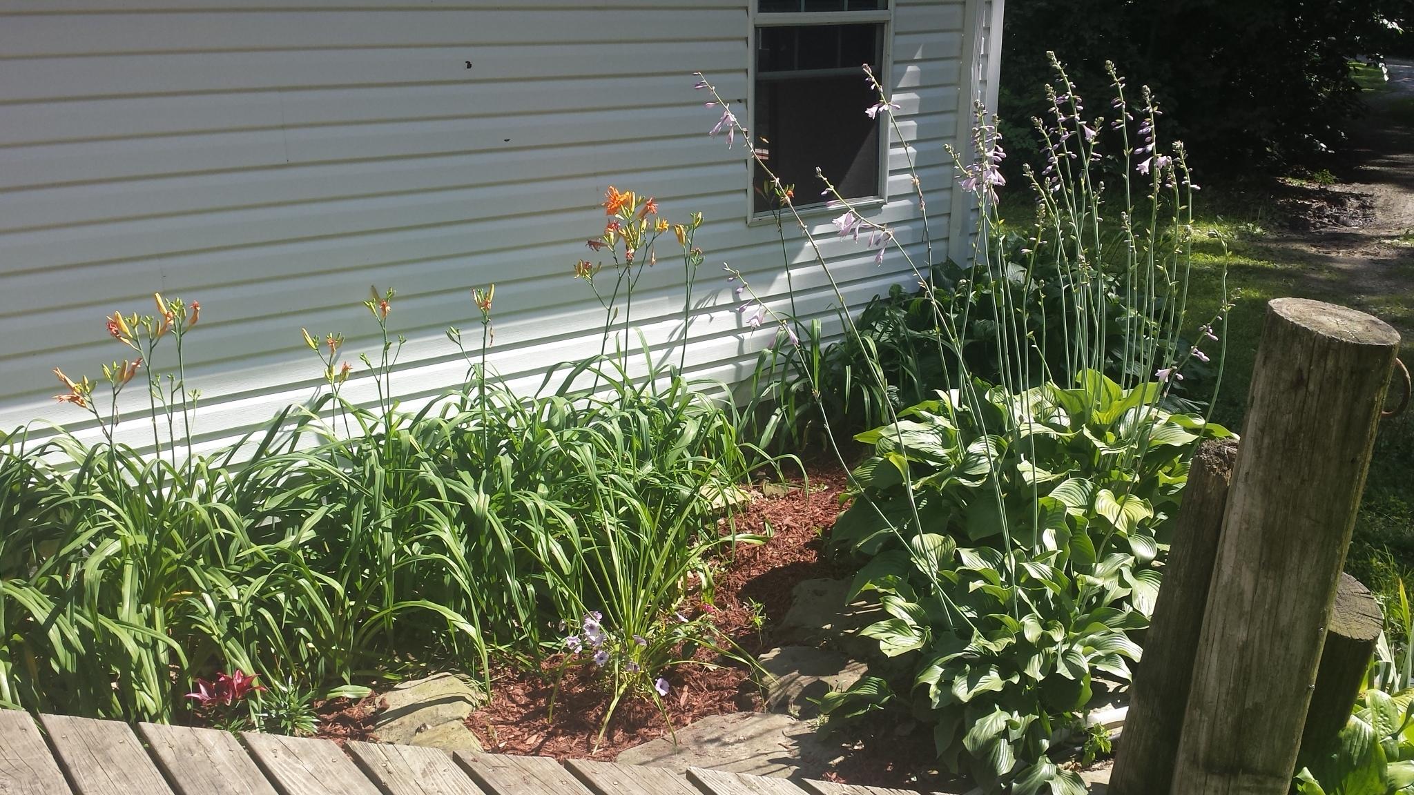 12897 Hatch Road Westerville, OH 43082 - Photo 24 of 35 Gallery Image 24