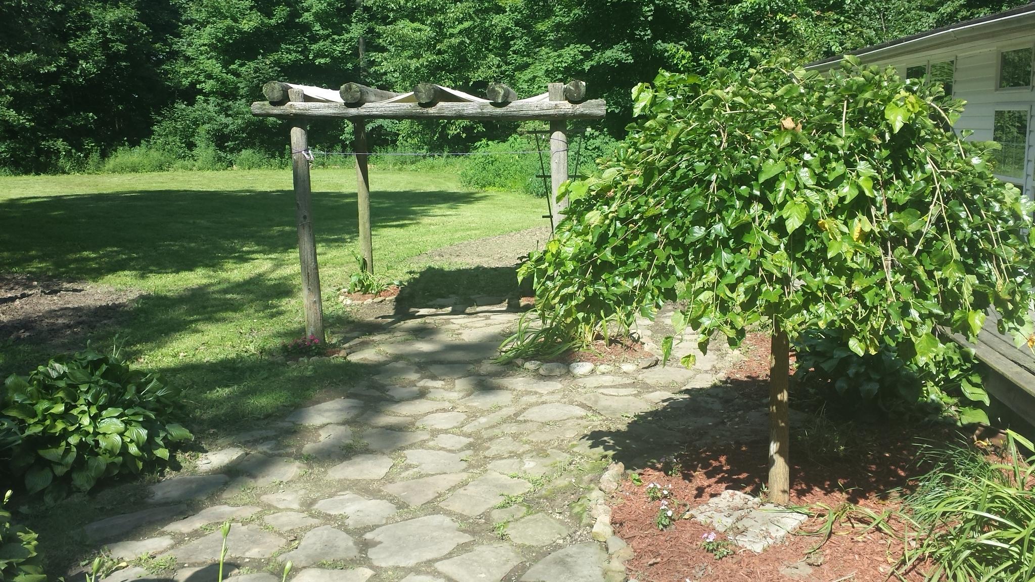 12897 Hatch Road Westerville, OH 43082 - Photo 26 of 35 Gallery Image 26