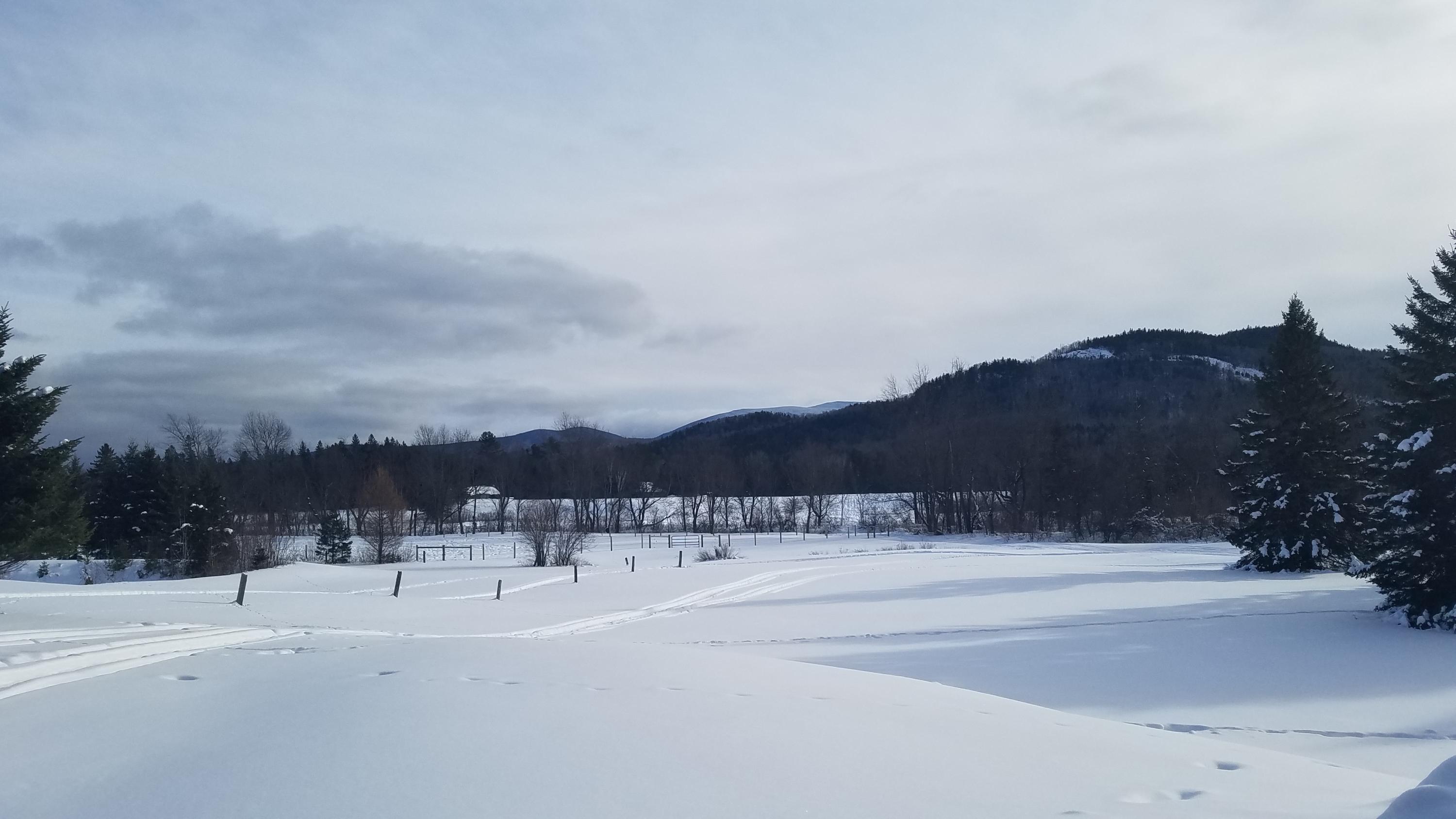 19 Ryan Road Stratton, ME 04982 - Photo 20 of 26 20210201_142047