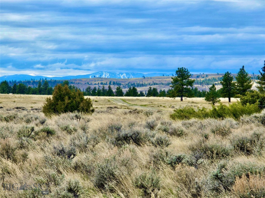 Nhn Prairie Butte Road Park City, MT 59063 - Photo 1 of 1 View of Beartooth Mountains from top of property