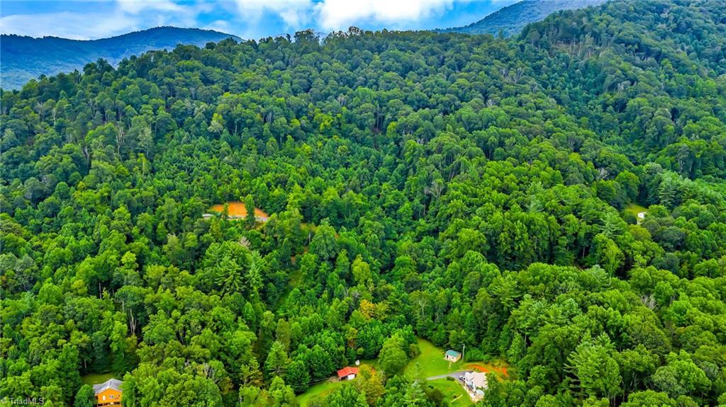 Tbd Deep Ford Road Lansing, NC 28643 - Photo 11 of 20