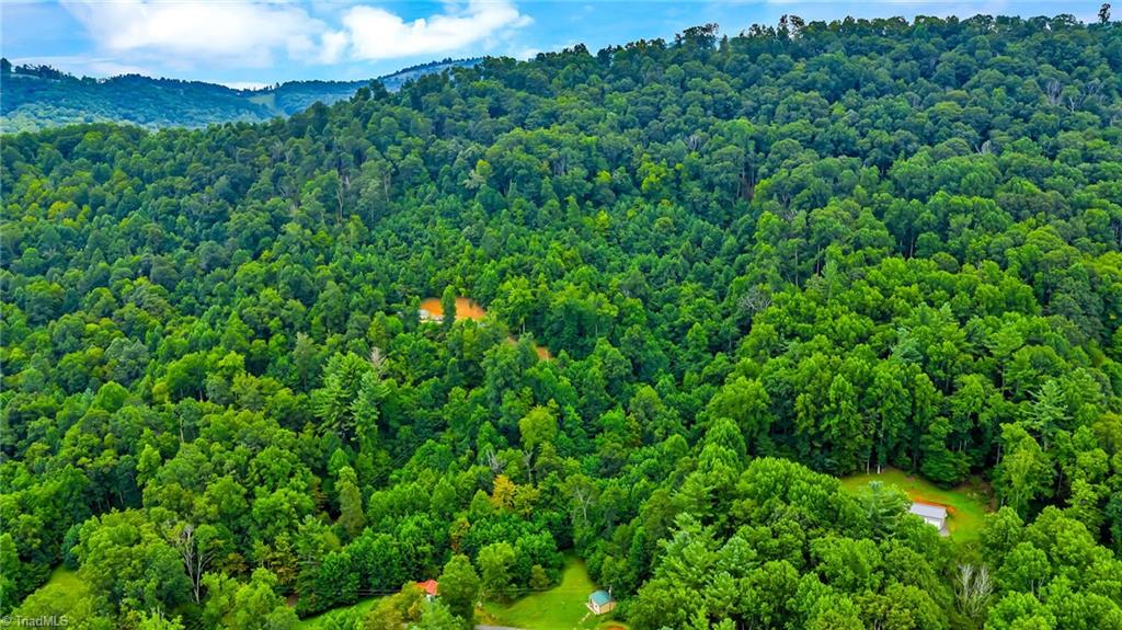 Tbd Deep Ford Road Lansing, NC 28643 - Photo 12 of 20