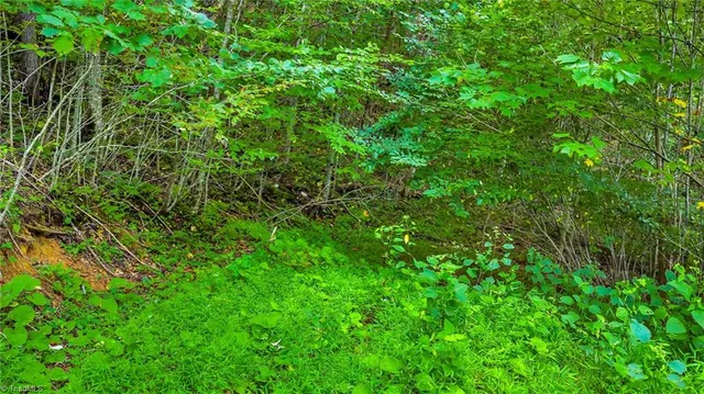 $85,000 | Tbd Deep Ford Road, Lansing, NC 28643