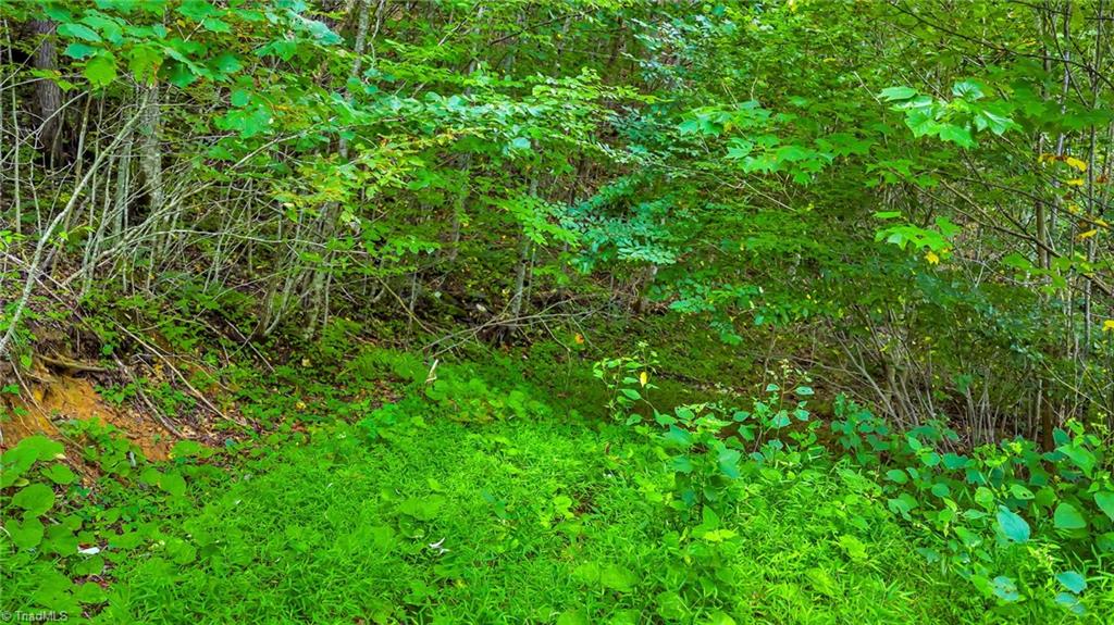 Tbd Deep Ford Road Lansing, NC 28643 - Photo 14 of 20