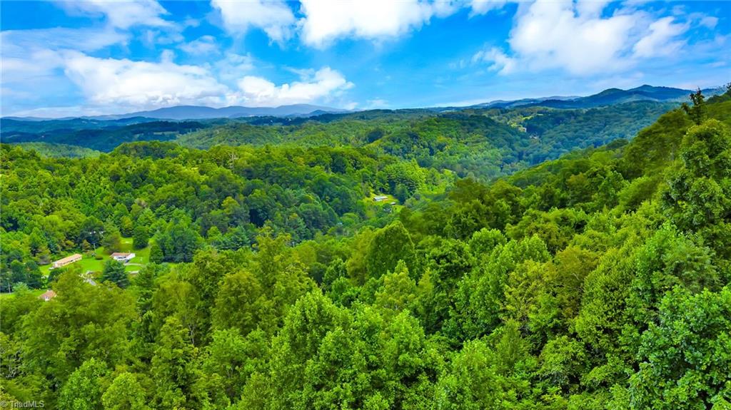 Tbd Deep Ford Road Lansing, NC 28643 - Photo 15 of 20