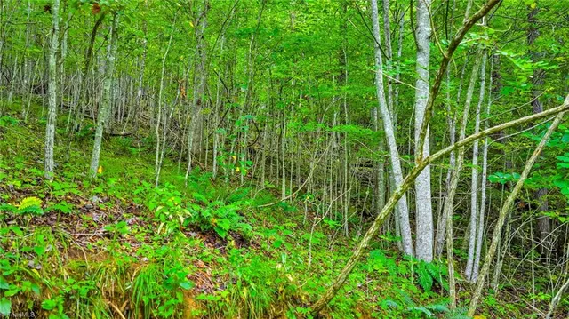 $85,000 | Tbd Deep Ford Road, Lansing, NC 28643