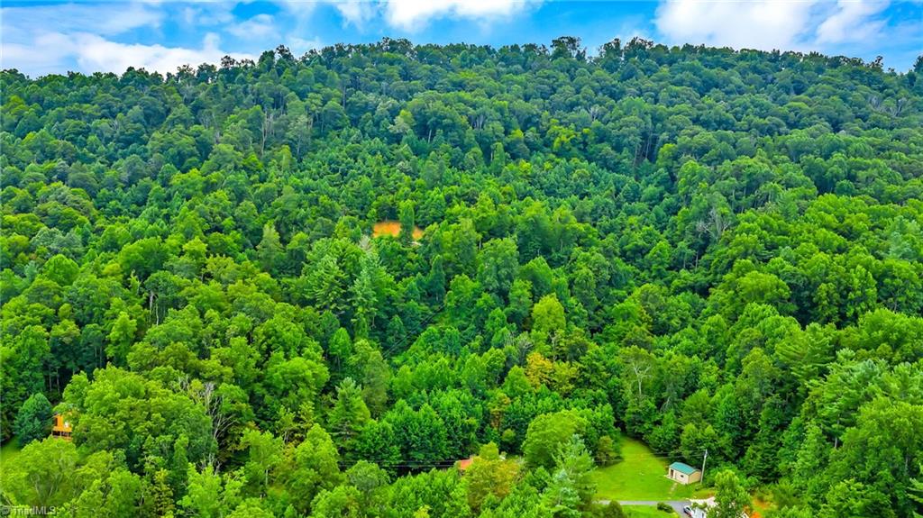 Tbd Deep Ford Road Lansing, NC 28643 - Photo 5 of 20