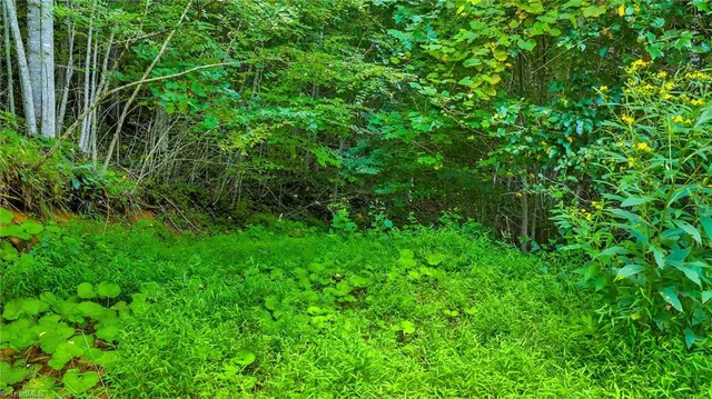 $85,000 | Tbd Deep Ford Road, Lansing, NC 28643