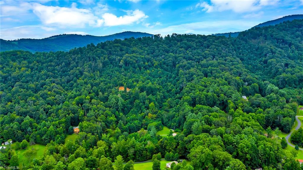 Tbd Deep Ford Road Lansing, NC 28643 - Photo 9 of 20