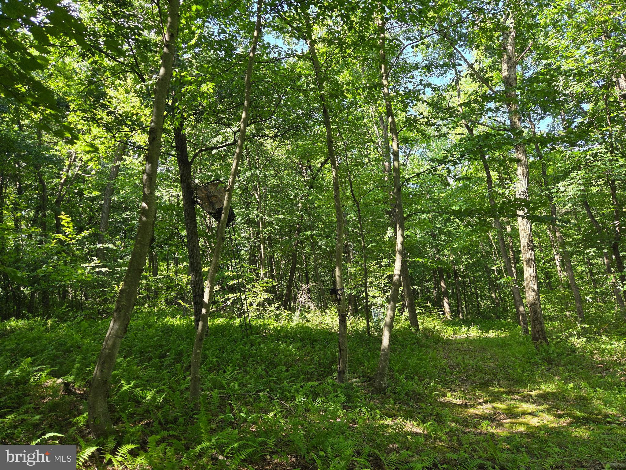 0 Carlisle Gap Road Lewistown, PA 17044 - Photo 30 of 53