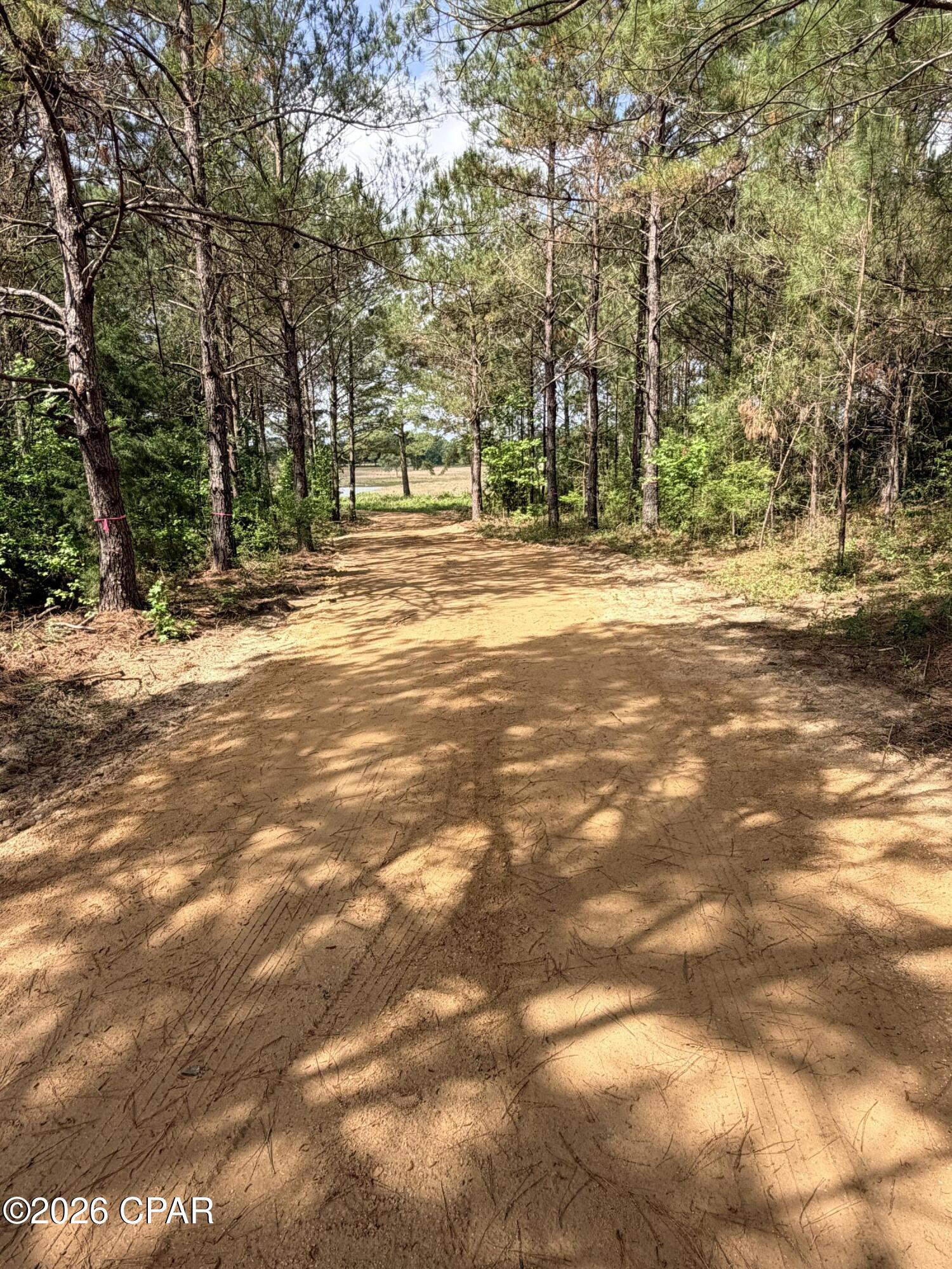 Xx Jj Whitaker Road Bonifay, FL 32425 - Photo 2 of 11