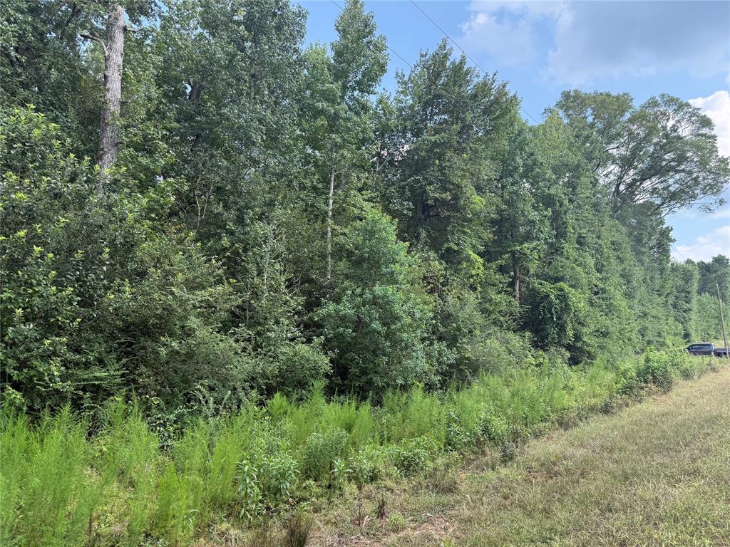 0 Best Road Simsboro, LA 71275 - Photo 8 of 8 a view of a lush green forest with trees in the background