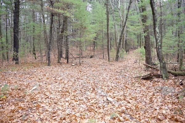Lot 2 Stiles Road Boylston, MA 01505 - Photo 2 of 3 Gallery Image 2
