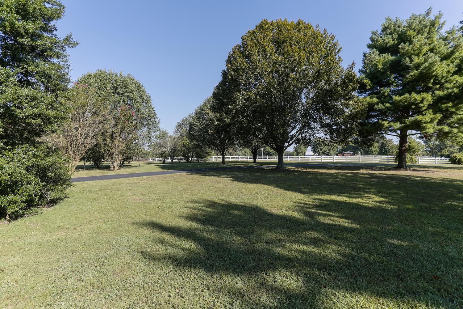 2162 Liebengood Road Goodlettsville, TN 37072 - Photo 7 of 29 This is your lovely view into the front yard, from the front porch!