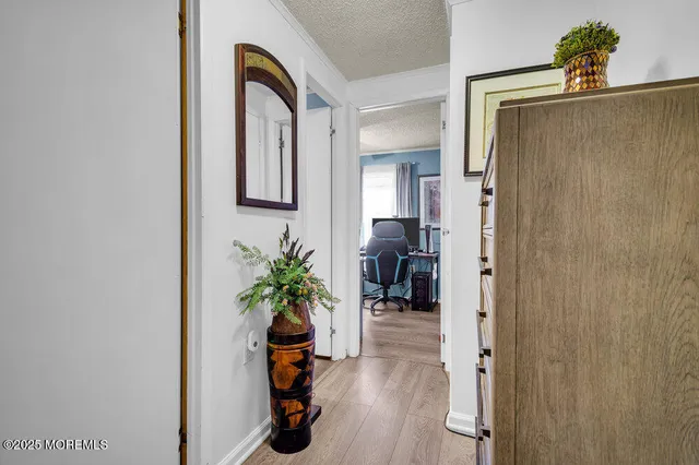 a hallway with a potted plant on the wall and a mirror