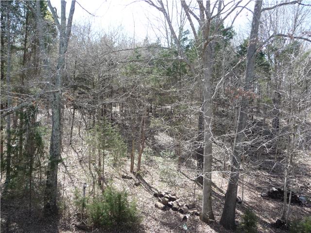 634 Chestnut Court Springfield, TN 37172 - Photo 17 of 20 Home Backs up to Wooded Core Property.
