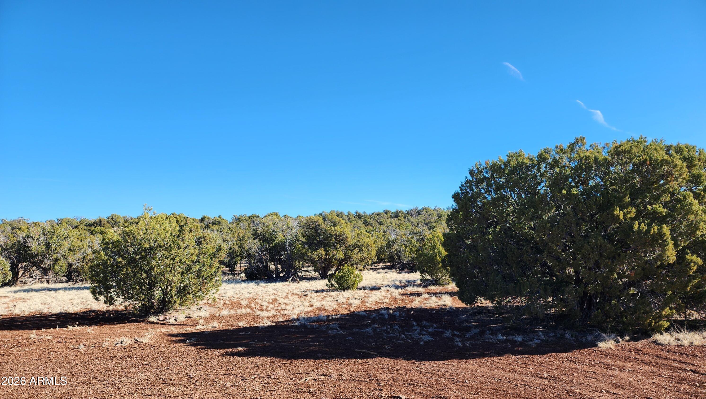 2 County Road Concho, AZ 85924 - Photo 7 of 10 2 County Rd N8715