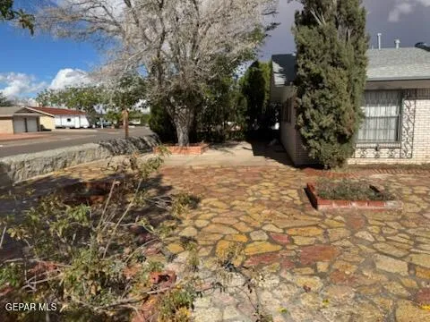 a view of a yard covered in snow