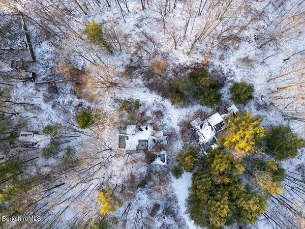 a view of a tree with a yard
