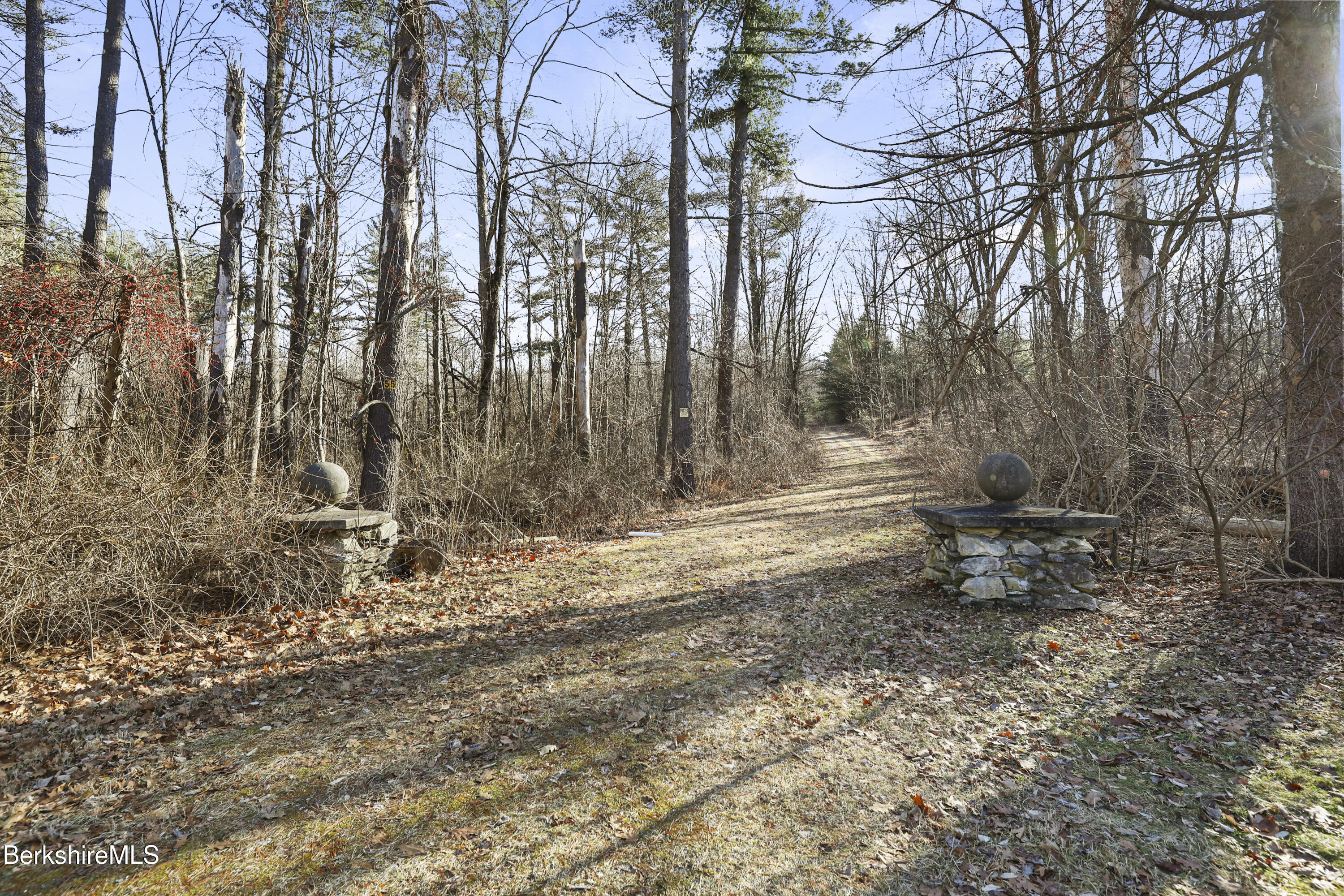 55 Prospect Lake Road Egremont, MA 01230 - Photo 9 of 11 a backyard of a house with lots of green space