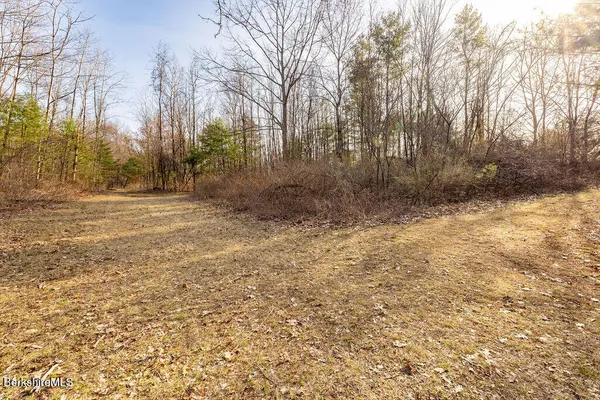a view of a yard with trees