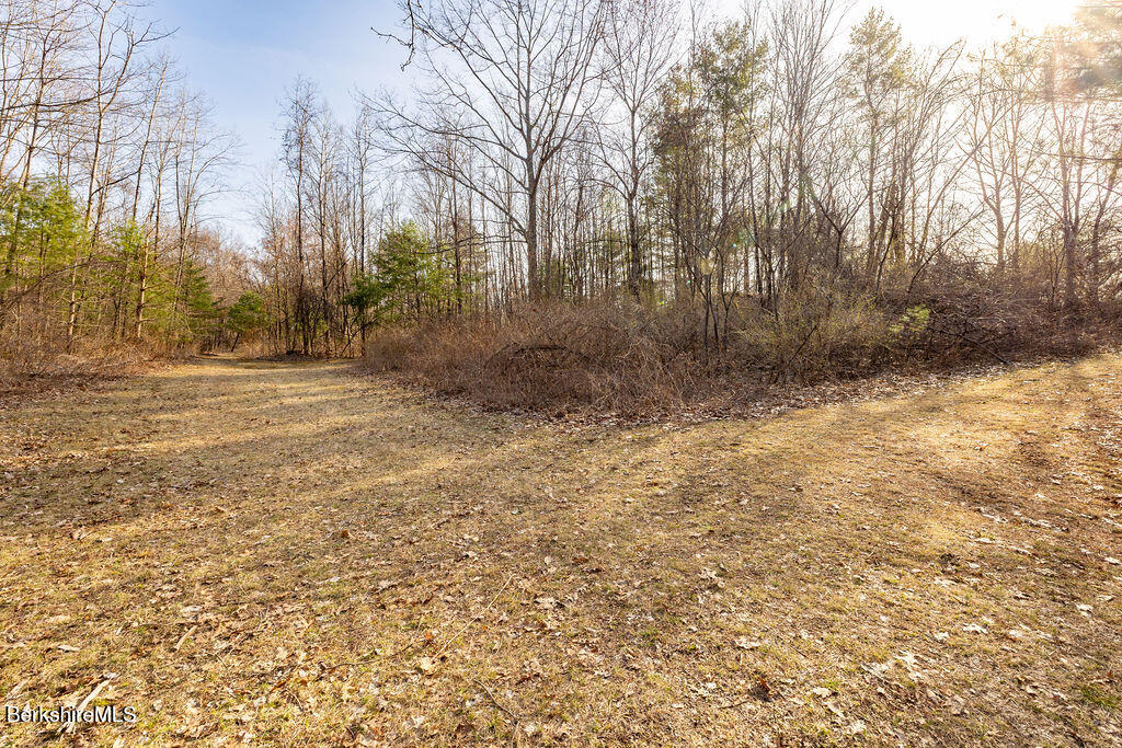 55 Prospect Lake Road Egremont, MA 01230 - Photo 10 of 11 a view of a yard with trees