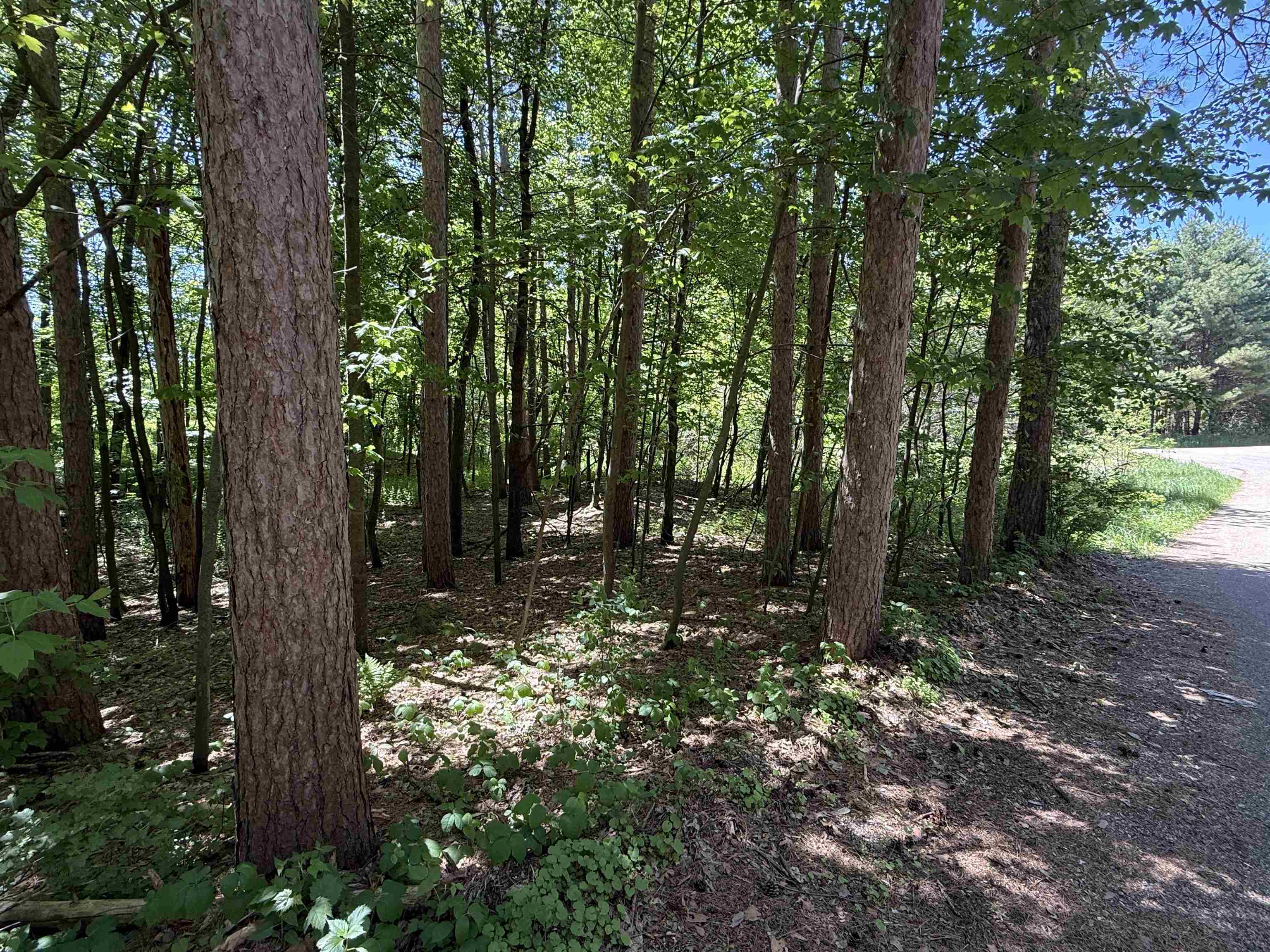 Lot 16 Arrowhead Road Amherst Junction, WI 54407 - Photo 8 of 17